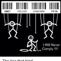 Fight for Reality, in the Land of Hypocrisy - @dayton_kline Twitter Profile Photo