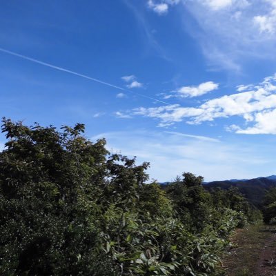 yXx8R60gsN1JVHB's profile picture. 細々とMTGをコレクション。