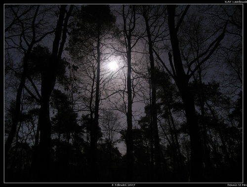 Leven_Evon's profile picture. With darkened eyes, then silence, the time has come to share the evolving vampire knowledge.  Have patience for all will be revealed from the soul.