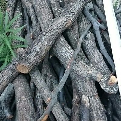 morityamin's profile picture. ネイティオランクルスシビルドンサイドンサイホーントロピウスヤドンプルリルパラス クリサリモンデビタマモンヴィカラーラモンレッパモンホエーモン『砂糖菓子の弾丸は撃ちぬけない』『すばらしい新世界』怖い本の『〜色の本』『カルマの搭』『インスタント・メサイア』『こちら魔王城居住区化最前線』などなど、
槍斧大斧波剣大弓などが好き