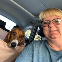 Lisa Eubanks - @bassetmom480 Twitter Profile Photo