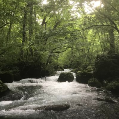 sukop0127's profile picture. 広島/京都/東京/社会人/元京進/Handball/Baseball