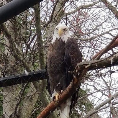 Freedom1656's profile picture. 🚫DM’s