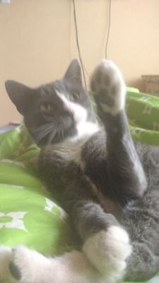 hijoderanarin's profile picture. 