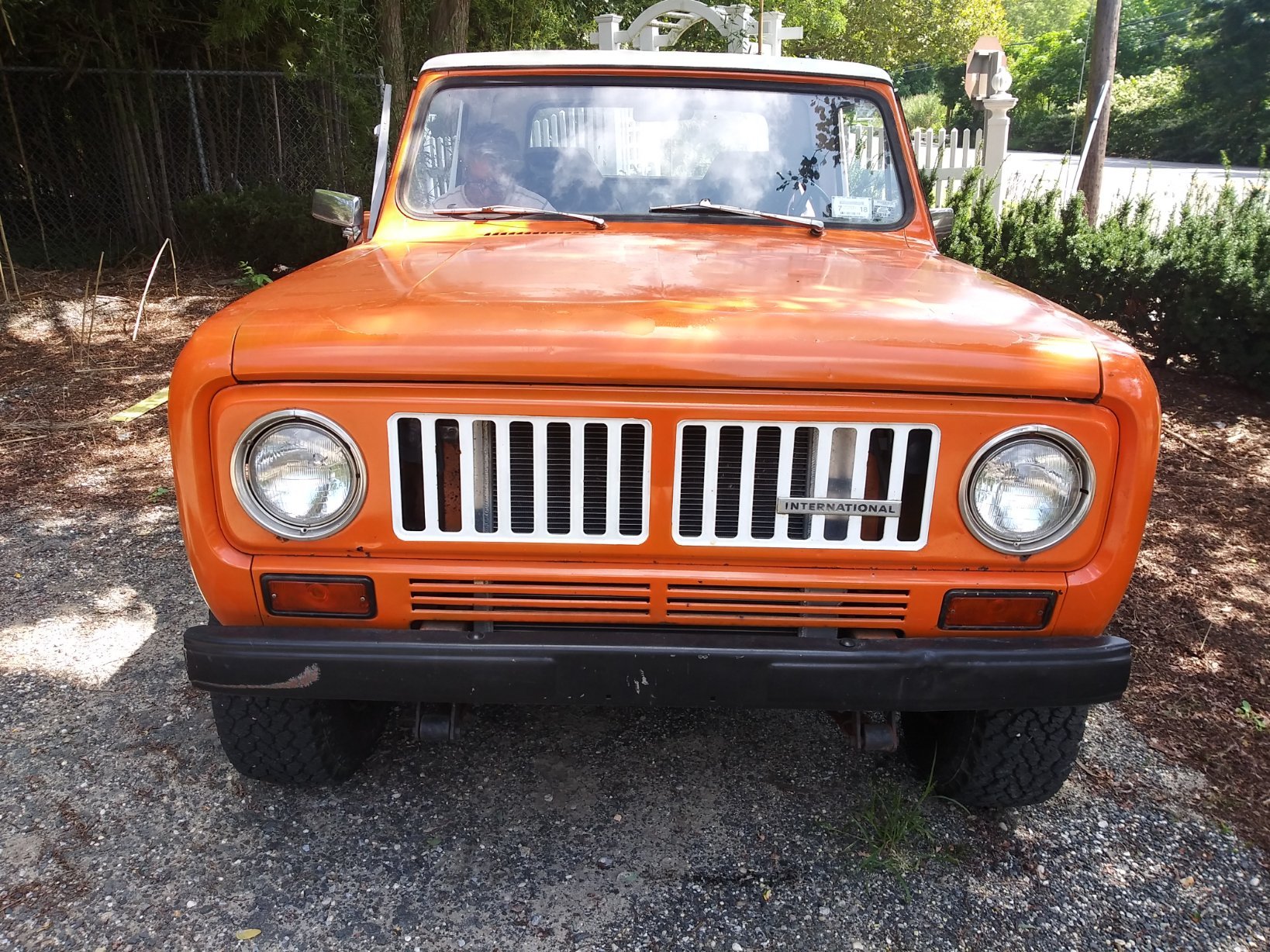 HarveyElie's profile picture. I'm just a 6 foot White Rabbit trying to make my way through life.