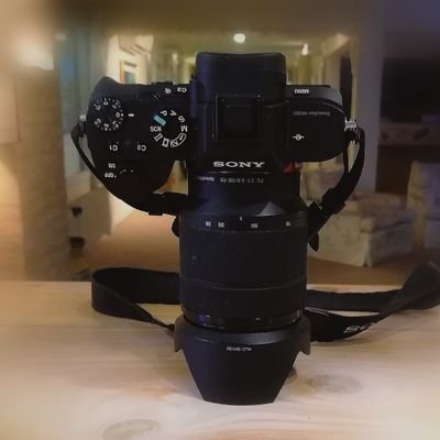 Fernand34389906's profile picture. Fotografía