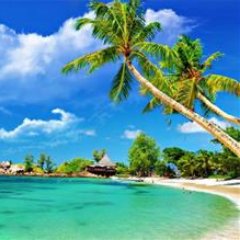 LuxuryHotelTra1's profile picture. 😍