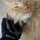 Clifton Shaffer - @sidgil - Twitter