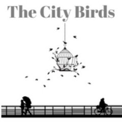 thecitybirds's profile picture. #KnowYourCity , #Blog, #India #Bangalore