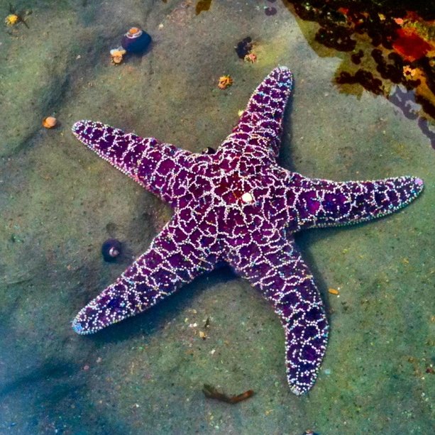 Jose29288060's profile picture. 🌊🌊🌊🐟🐡🐬🦈🐳🦀🦞🐋