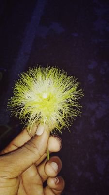 itsgalaxynature's profile picture. 