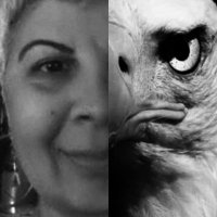 Mine Dağ (@mineda12) 's Twitter Profile