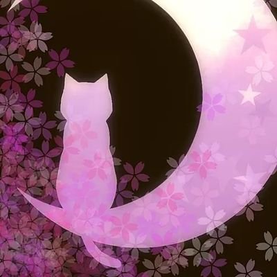 eTMLtBR76OLv8ZB's profile picture. 