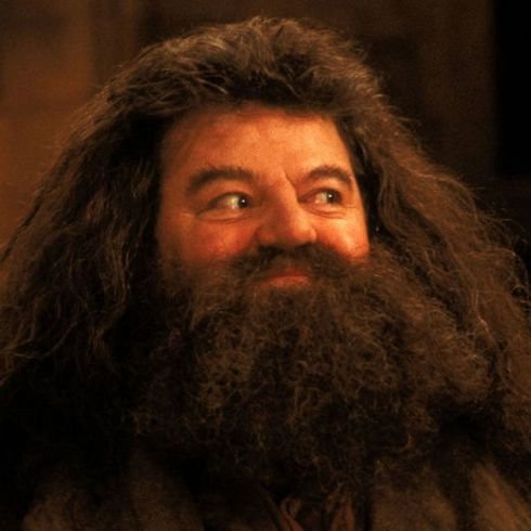Half-Giant. Groundskeeper. Beastmaster. 3 years of RP experience. (18+ account.)