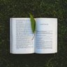 dokushobu_s's profile picture. オンラインで小説などを読む会です。次回は10月25日（土）15:30-17:30、課題図書は上野千鶴子『アンチ・アンチエイジングの思想』です。