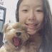 Kirsty Kwok (@kirstykwok) Twitter profile photo Kirsty Kwok (@kirstykwok) Twitter profile photo