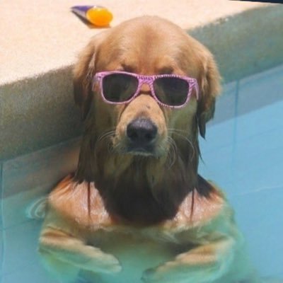 thesecretvoice1's profile picture. uma pessoa que ta aprendendo coma vida