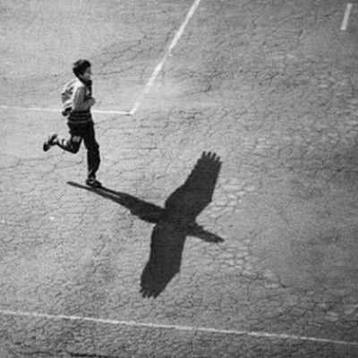 special_nine9's profile picture. 