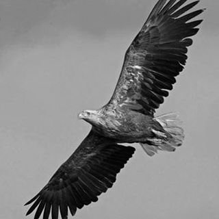 traderany's profile picture. 