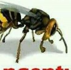 MrR00319210's profile picture. Informasi