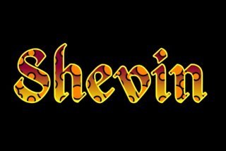 shevinplusseven's profile picture. shannon, kevin, and seven kidlets