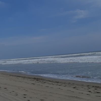 OdinRam's profile picture. Aburrido, irreverente, sencillo, un poco idiota pero sincero.