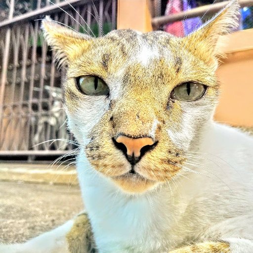 Khunpon_Pond's profile picture. Cyber Security Consult, currently consult company that getting pwn by some APT Group. Fuck Thai Dictatorship.