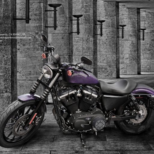 Both a Rider and Manufacturer of aftermarket parts for Harley Davidson