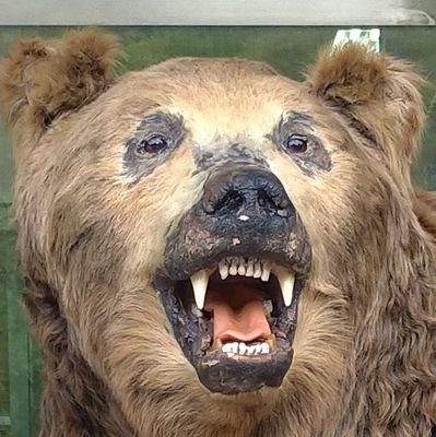 _amuc's profile picture. 粗利ーマン