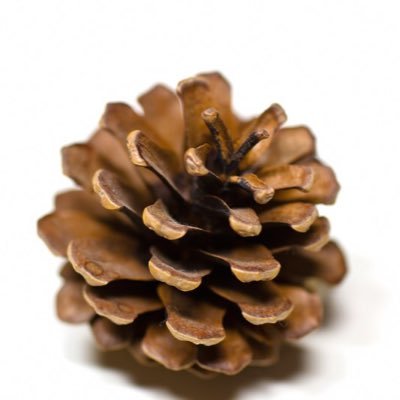 kCa5fpRw0uUKzwp's profile picture. ps4 APEX FPS経歴10年 アーマードコア楽しみすぎ