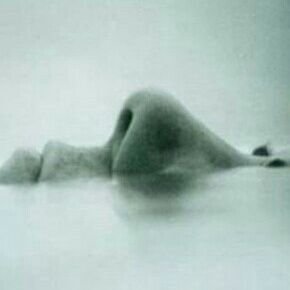 Fred_Friburgo's profile picture. 