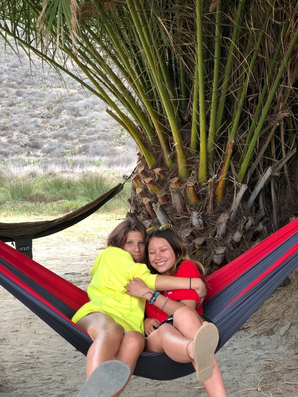 AllieMe69687319's profile picture. Shawn Mendes is my child 😽