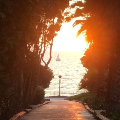 whereRwegoing13's profile picture. LA beach living - crypto enthusiast                    aspiring entrepreneur