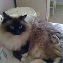 Jennifer Vanover - @Jennvanrdh - Twitter