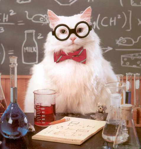 Four20Blunt's profile picture. Life is like a box of chocolates. With an occasional turd for good measure.