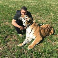 cat hunter (@logam_emasmulia) 's Twitter Profile