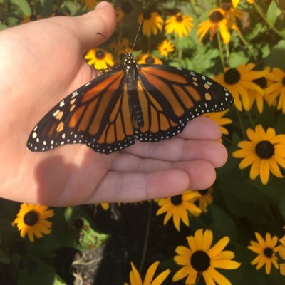 Kimrinella's profile picture. PA.. #Flyers #4thecup #istandwithsmoke #Eagles