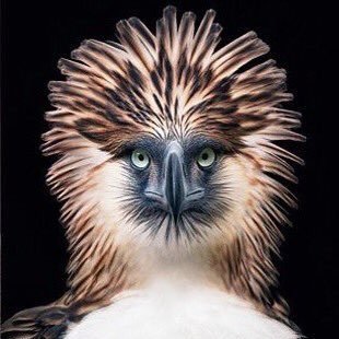 sande4ui's profile picture. 