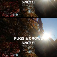 Pugs and Crows (@pugsandcrows) 's Twitter Profile