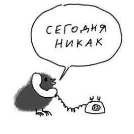 mynameis_dasha's profile picture. в тихом омуте черти водятся.