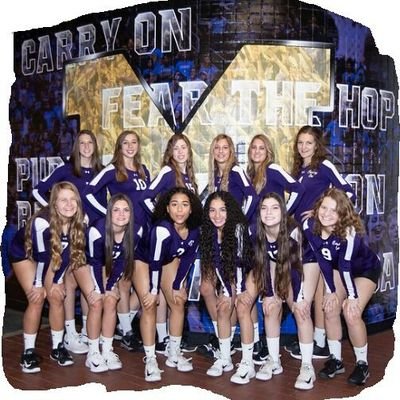 Mesa Volleyball