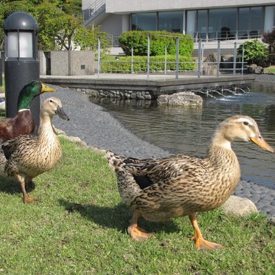 お部屋のご案内 - 中央福祉学院
