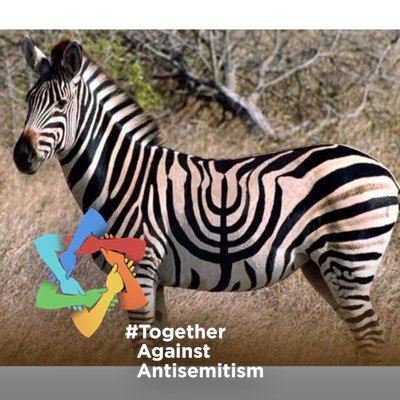 stucwest's profile picture. 