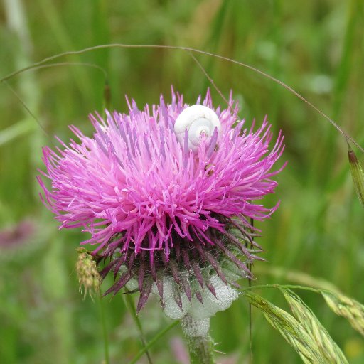 CM1CM2STADE's profile picture. Bonjour, de nouvelles aventures en vue pour cette année 2022-2023.