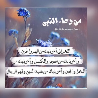 FhadOtbi's profile picture. 