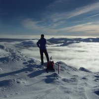 David McCulloch 🏴 (@dmcculloch55) 's Twitter Profile Photo David McCulloch 🏴 (@dmcculloch55) 's Twitter Profile Photo