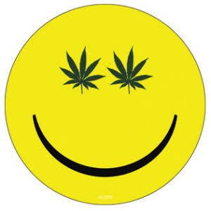 Hemp/Cannabis Consultant, Home Growning Coach, Motivational Speaker