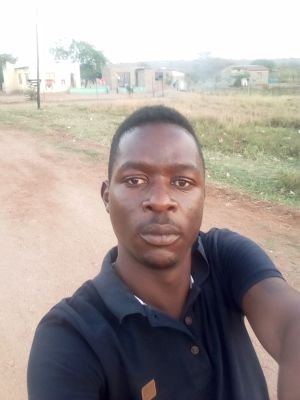 KdTinyiko's profile picture. 