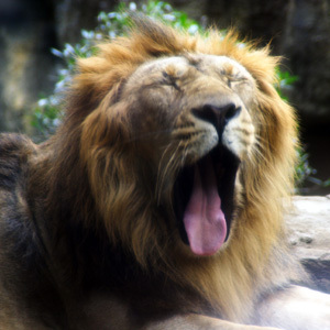 g5yukari's profile picture. 企業で事務のお仕事をしています。最近はすっかりnoteの住人になりました。宜しくお願いします。 一緒に楽しみましょう(*^_^*) ※副業系のお誘いは興味がありません、楽しむためにブロックさせていただくこともあります。