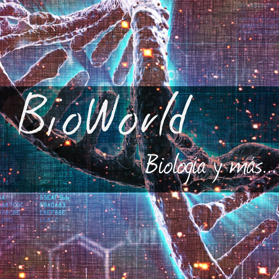 BioWorld4's profile picture. 